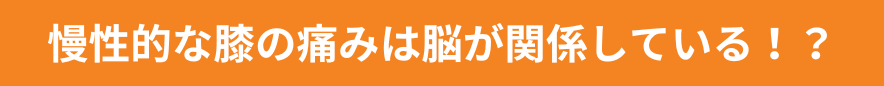 慢性的な膝の痛みは脳が関係している！？